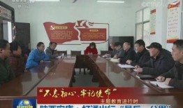 实教最新爆料新闻报道,揭秘教育行业变革背后的真相